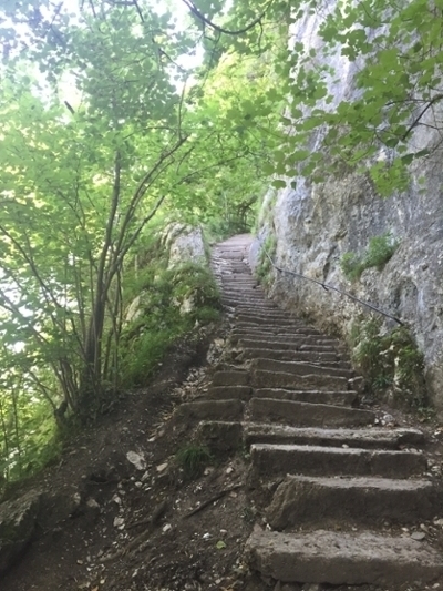 Trail 1